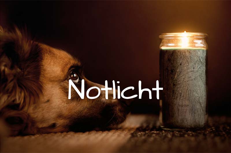 Notlicht
