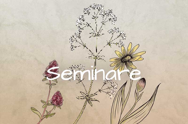 Seminare