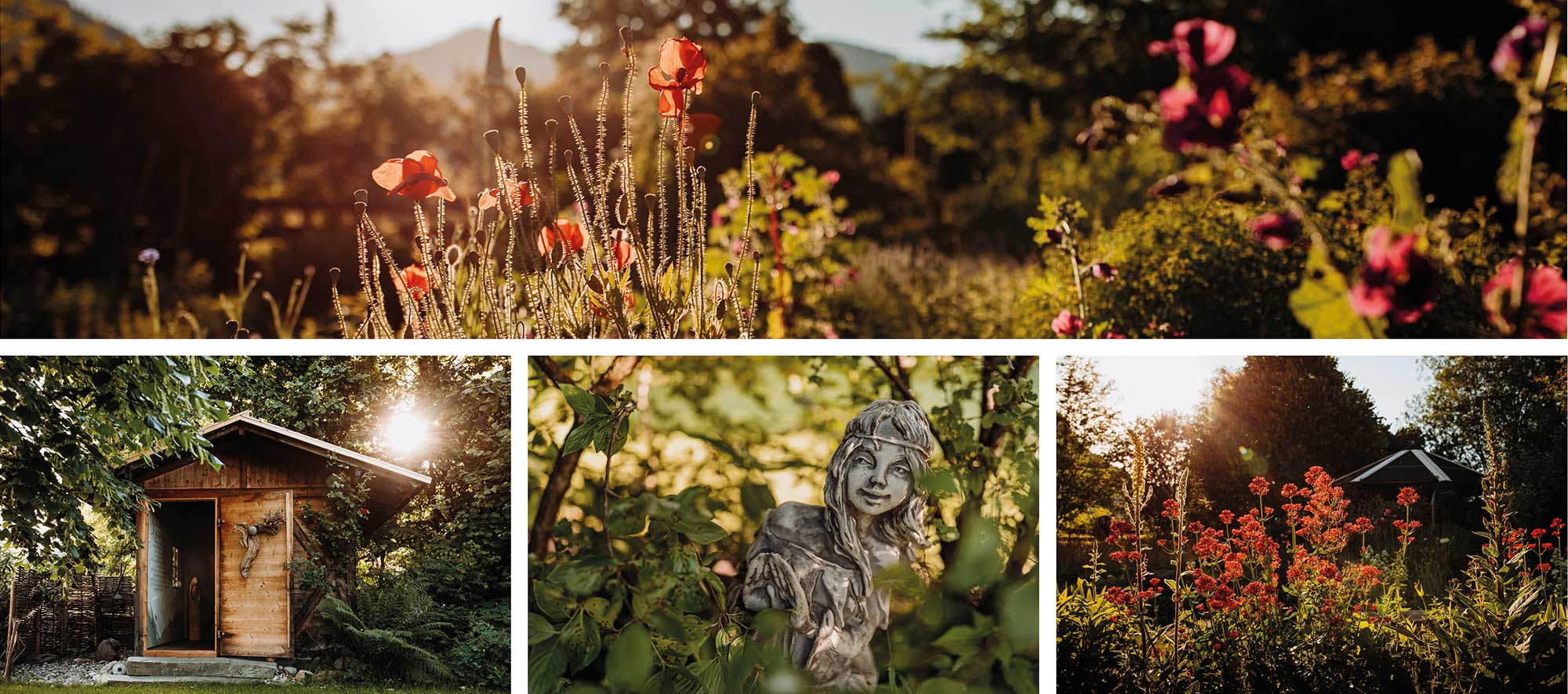 Impressionen aus unserem Garten